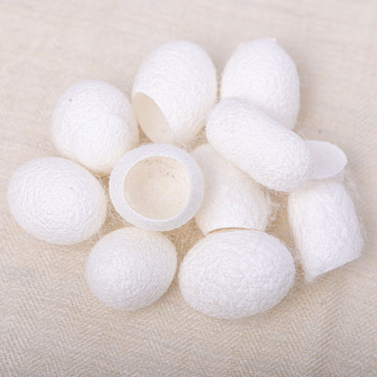 Seiden-Kokons vom Maulbeerspinner, Tussahspinner & Götterbaumspinner