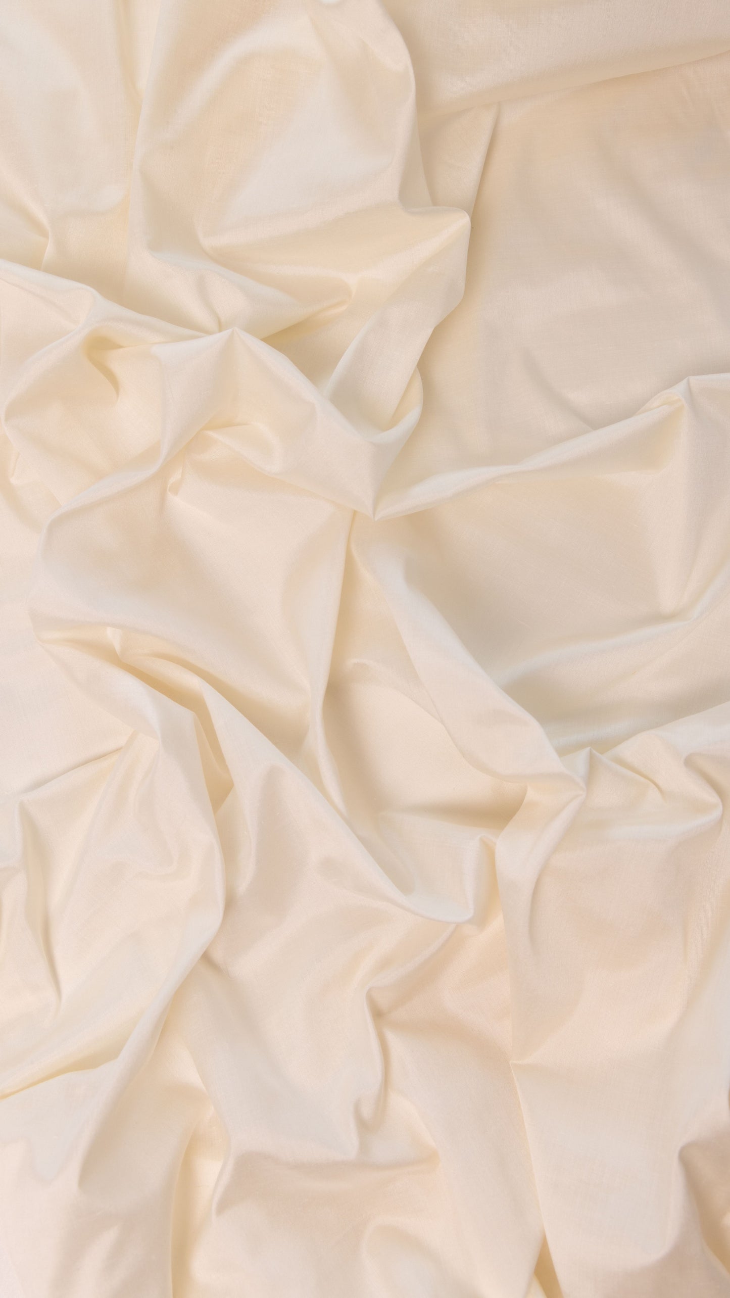 Seidenstoff Taft • Naturbelassene Peace Silk • 100% Seide • Creme • Rama