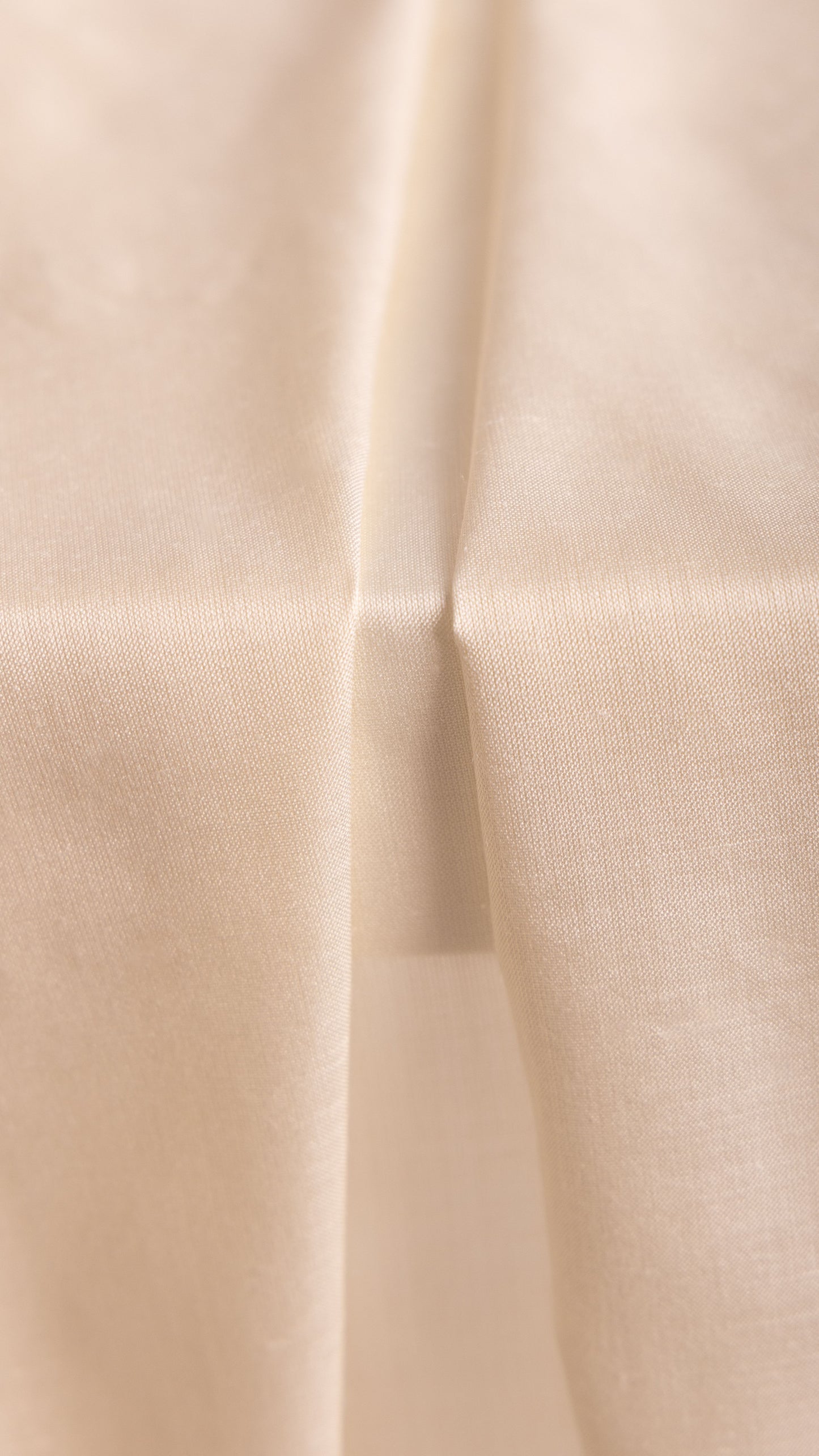 Seidenstoff Taft • Naturbelassene Peace Silk • 100% Seide • Creme • Rama